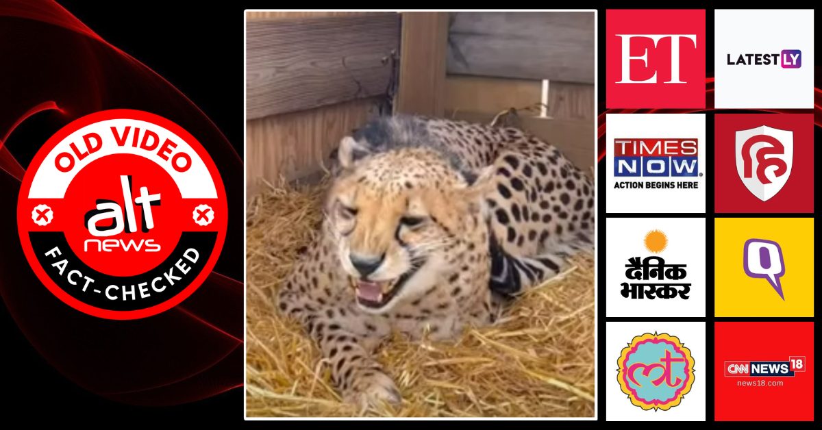 News channels show old, unrelated video as clip of cheetah brought to India from Namibia - Alt News