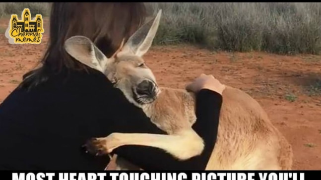 Fact Check: Touching image of kangaroo hugging woman has no relation to Australian bush fires
