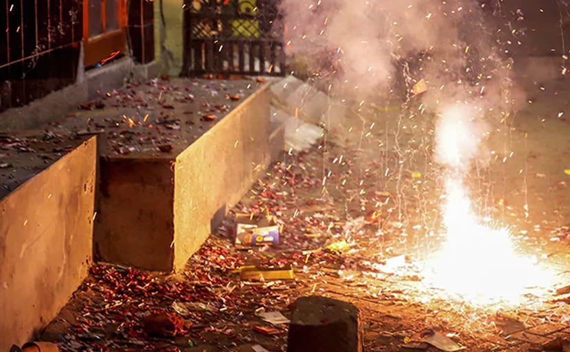 Green Court Extends Ban On Firecrackers In Delhi-NCR, Other Cities Until Covid Situation Improves