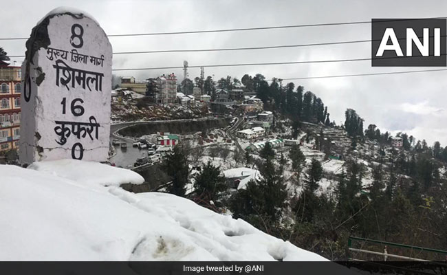 शिमला के कुफ़री में हुई ताजा बर्फबारी के बाद बढ़ी पर्यटकों की संख्या