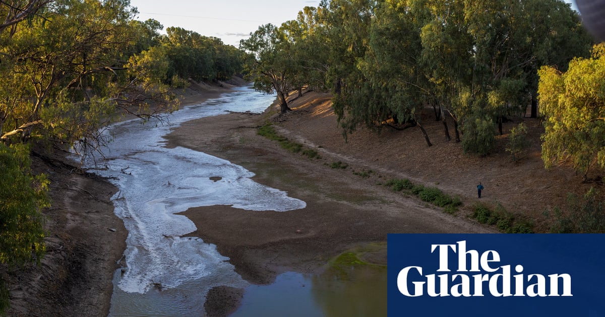 Murray-Darling Basin: NSW government officials busted favouring irrigator groups