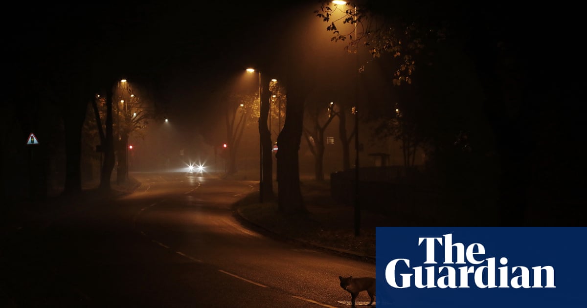 Suburban dream: Bromley after dark in lockdown - in pictures