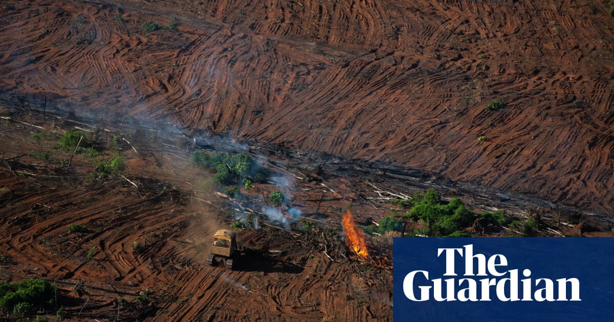 Amazon deforestation surges to 12-year high under Bolsonaro