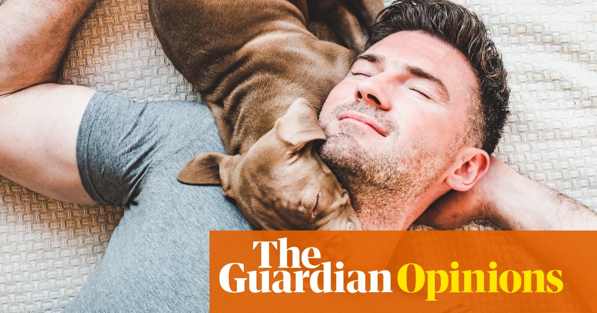 What working from home has taught me about my partner and myself | Emma Beddington