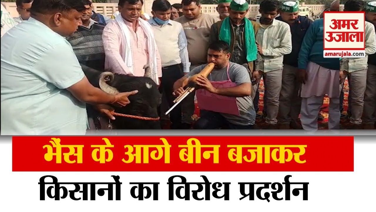 Noida के दलित प्रेरणा स्थल पर किसानों ने बजाई भैंस के आगे बीन | Farmers Protest | Kisan Andolan