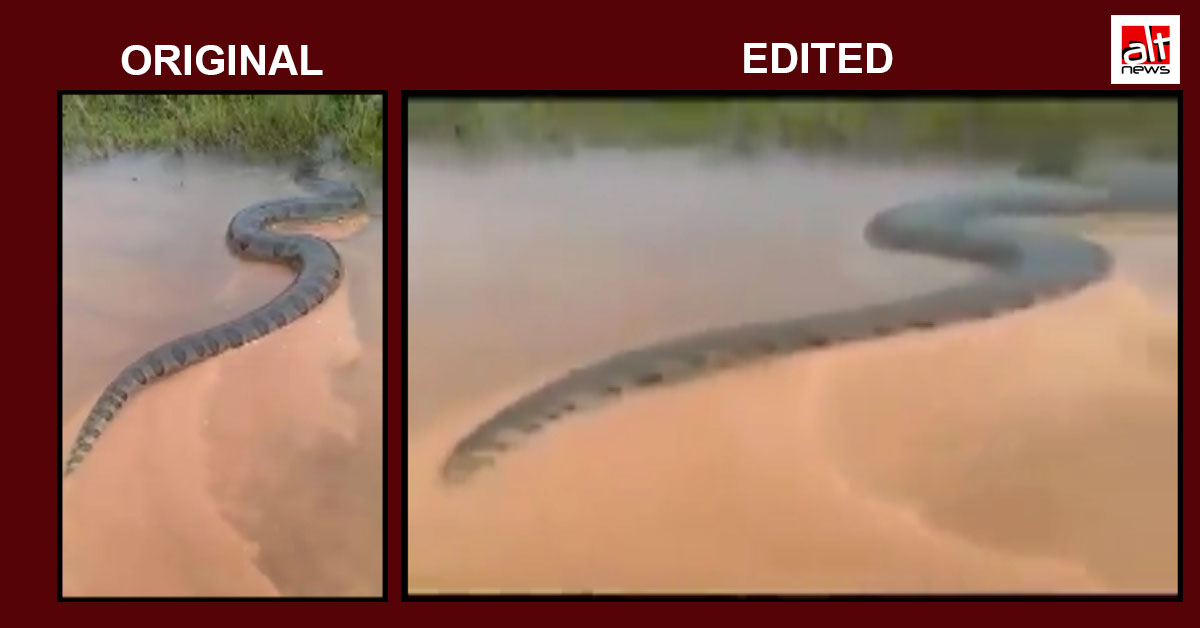 Old, edited video passed off as giant snake seen near Mysuru after heavy rain - Alt News