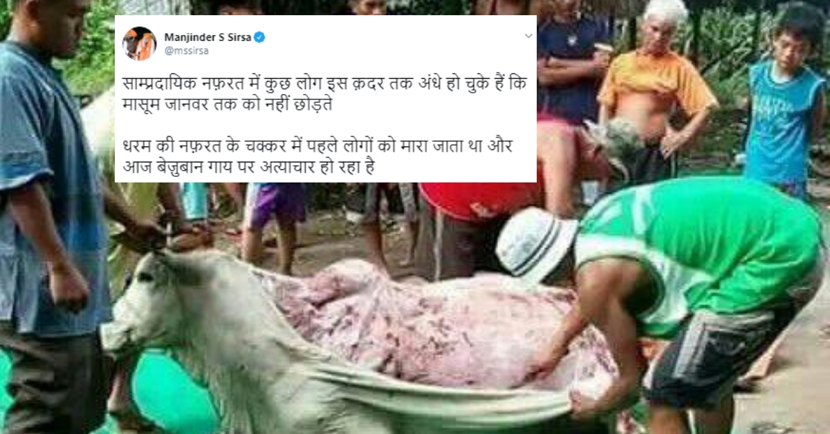Viral image of cow being skinned is NOT from India - Alt News