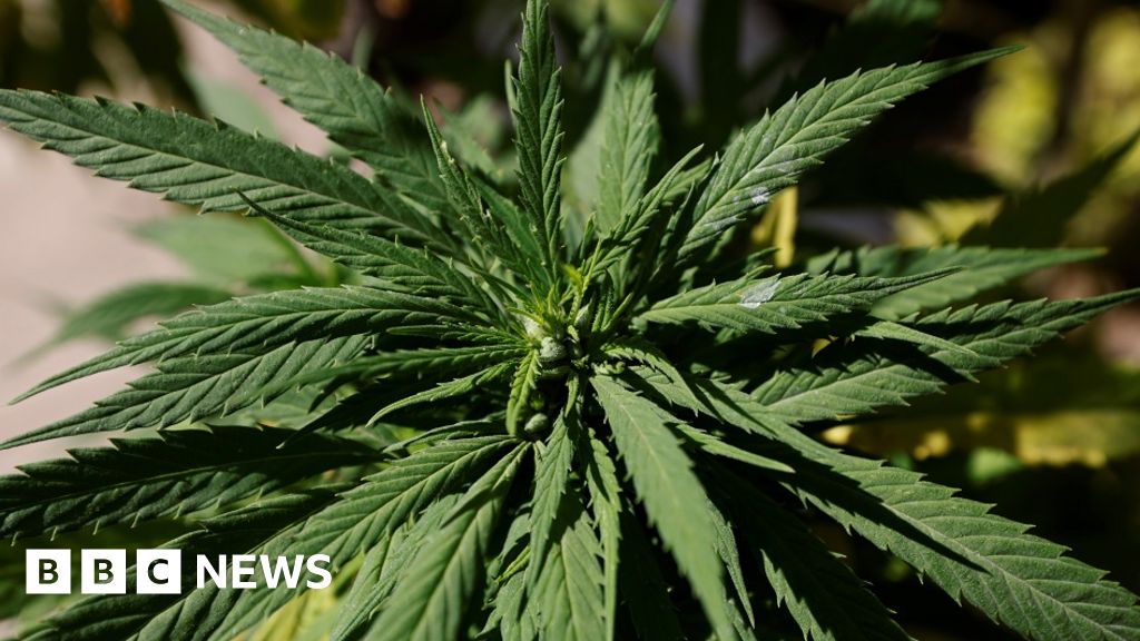 US House passes federal cannabis decriminalisation bill