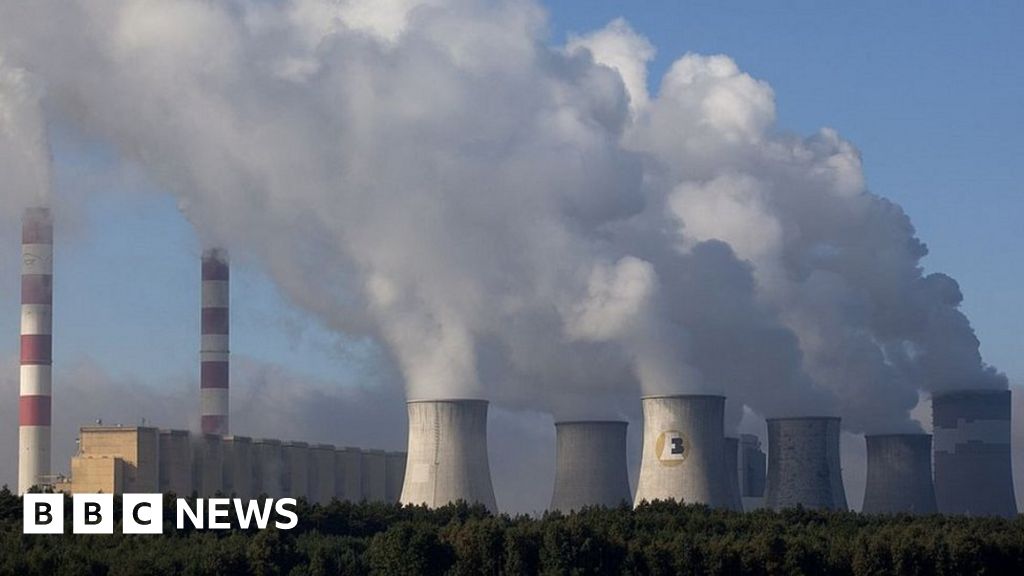 Climate change: EU leaders set 55% target for CO2 emissions cut