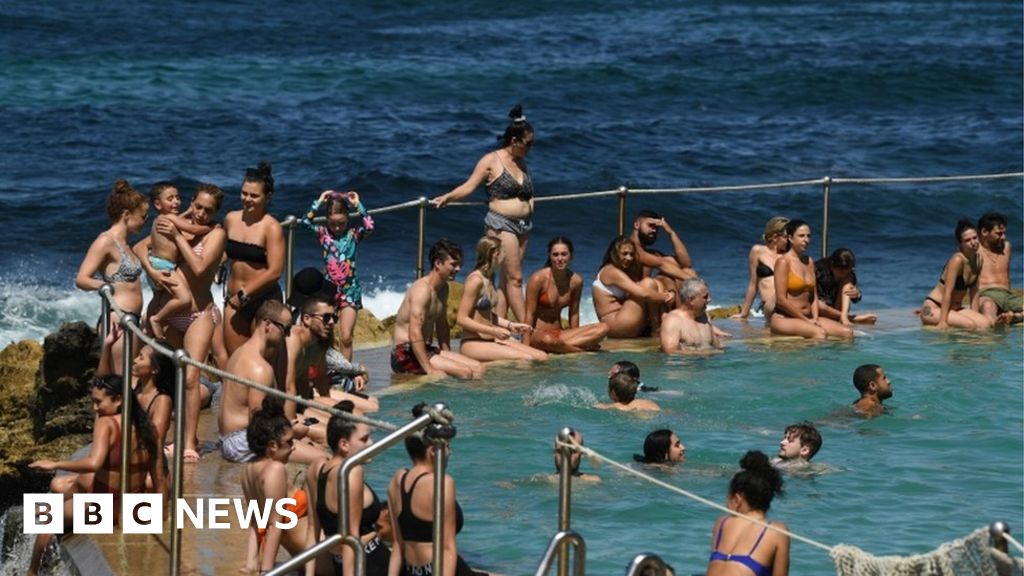 Sydney records hottest November night on record