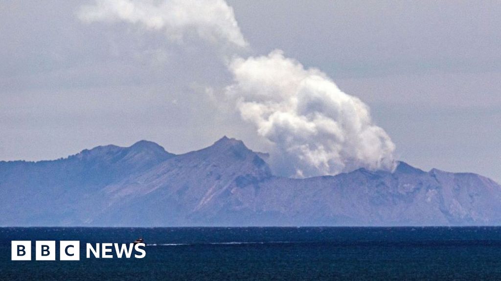 White Island volcano: NZ officials charge 13 parties over tragedy