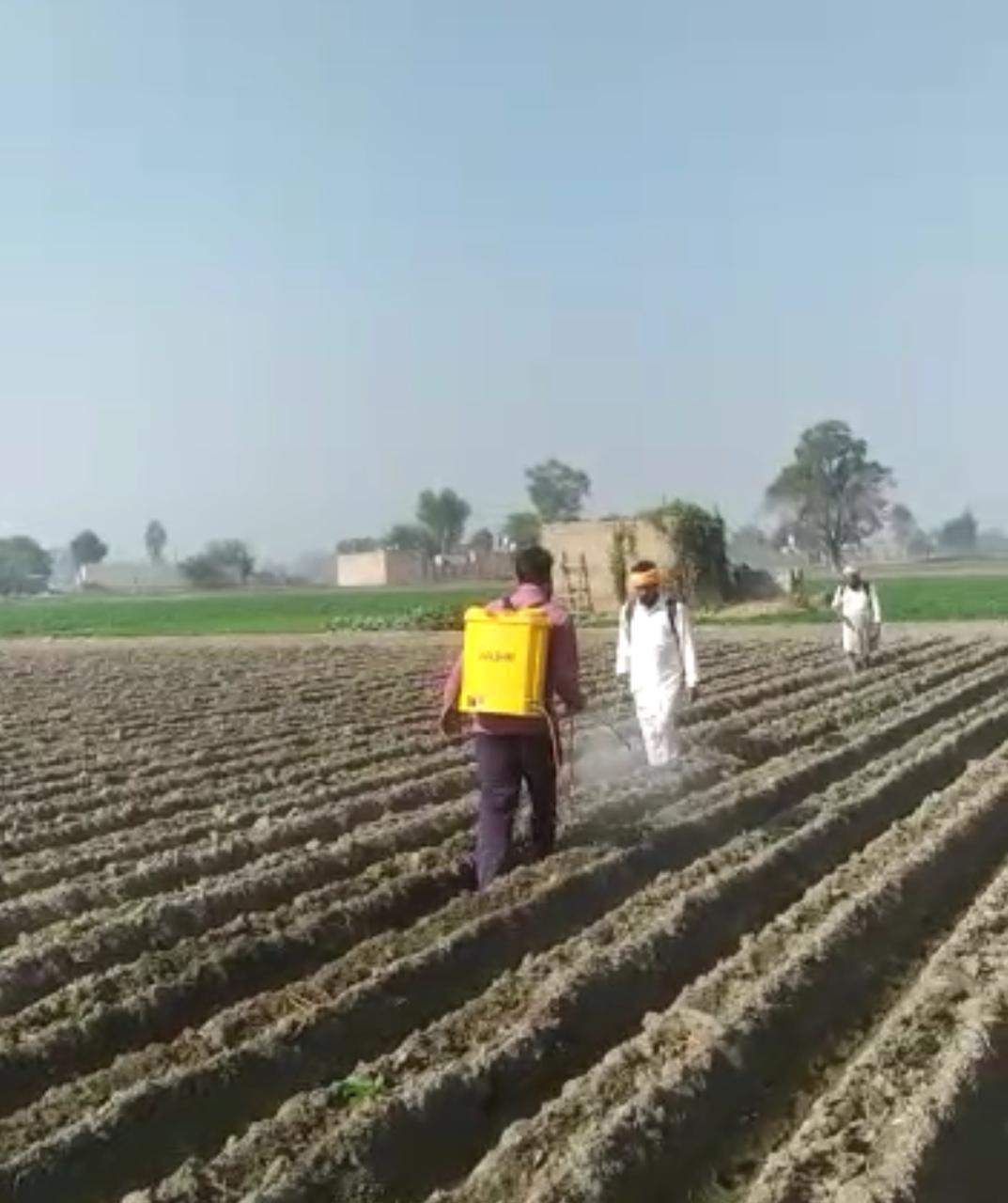 पंजाब के किसानों के गांव से रिपोर्ट: दिल्ली गए किसानों के परिवारों की मदद के लिए गुरुद्वारे से अनाउंसमेंट, टीमें उनके खेत भी संभाल रहीं