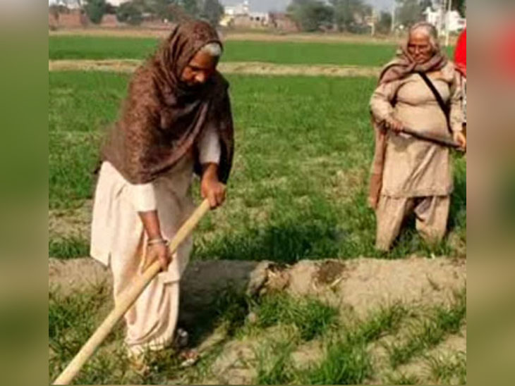 किसानों ने दिल्ली बॉर्डर, महिलाओं ने खेत संभाले: महिलाएं फावड़ा लेकर खेतों में उतरीं, ताकि न आंदोलन कमजोर पड़े न फसल; देखें फोटोज