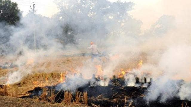 उत्तर प्रदेश : अब किसानों को खेत में नहीं जलानी पड़ेगी पराली, नई बायो फ्यूल पालिसी तैयार