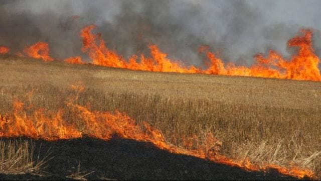 पराली जलाने पर लेखपाल ने दी कार्रवाई की धमकी, सदमे से किसान की मौत
