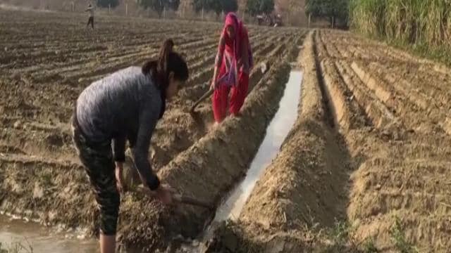 किसान आंदोलन से यूपी के खेतों में बदला नजारा, फसलों की देखरेख कर रहीं बेटियां