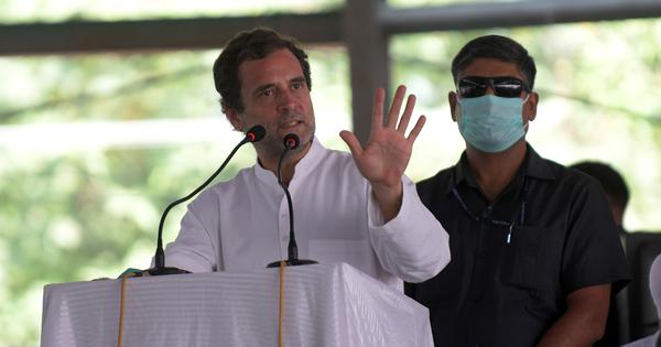 Farm law protests: How many more farmers must die, asks Rahul Gandhi