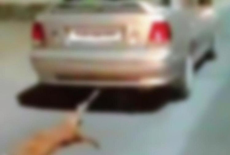 केरल: कुत्ते को कार से बांधा और सड़क पर कई किलोमीटर तक घसीटा, ड्राइवर गिरफ्तार