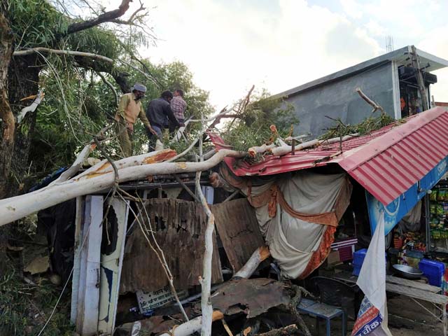 नैहरनपुखर में दुकान पर गिरा पेड़, बड़ा हादसा टला - mobile
