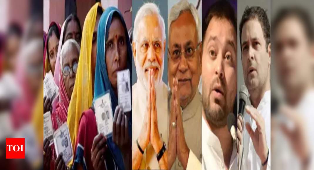  Bihar assembly election result 2020 date, time & where to check | India News - Times of India