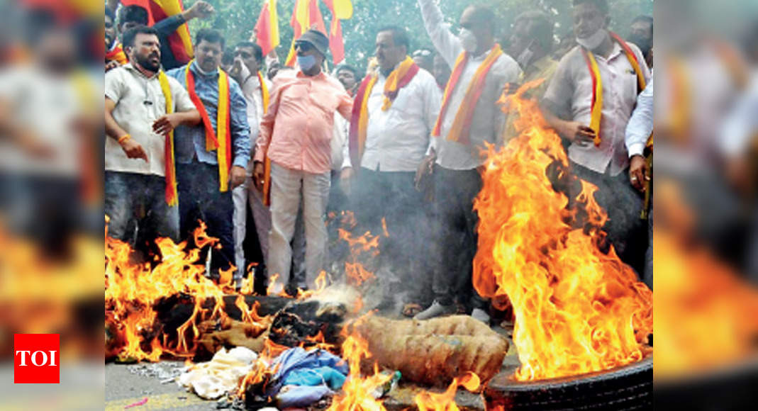 Karnataka: Pro-Kannada outfits plan December 5 bandh against Maratha body | Bengaluru News - Times of India