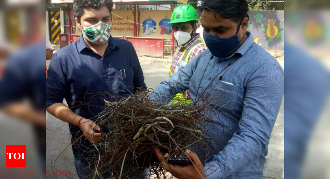 Thane metro line - 4 : 97 trees found with 122 nests | Thane News - Times of India