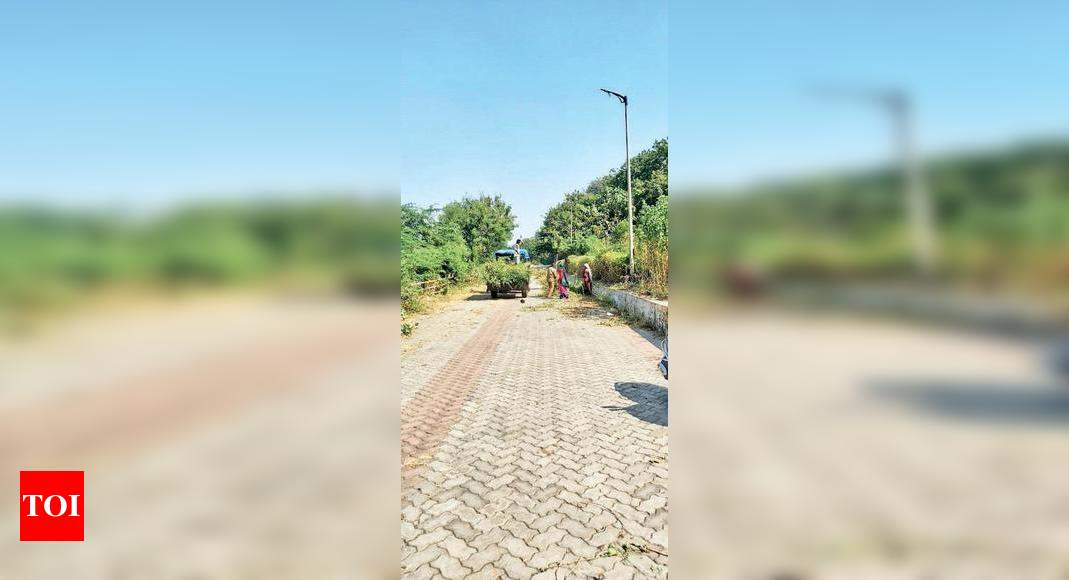 Riverside walkway at Athwalines in shambles for months cleaned | Surat News - Times of India