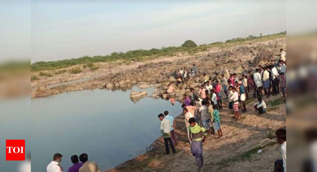 Karnataka: Boy herding cattle killed, eaten by crocodile in Raichur | Hubballi News - Times of India