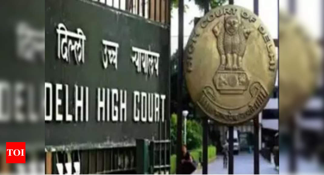  Delhi HC grants bail to journalist accused of spying for China | India News - Times of India