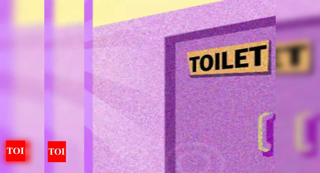 Pink toilets to add to women safety in Raipur | Raipur News - Times of India