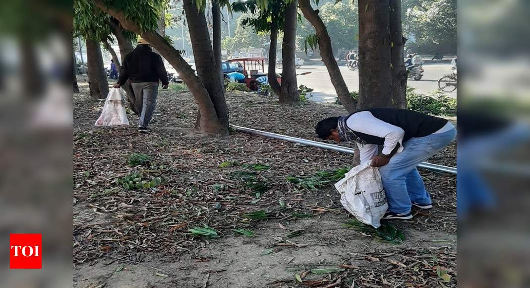 PU organises a cleanliness drive | Chandigarh News - Times of India