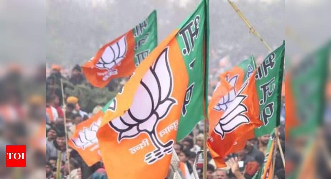 BJP bags four of 9 MLC seats, SP wins Varanasi | Lucknow News - Times of India