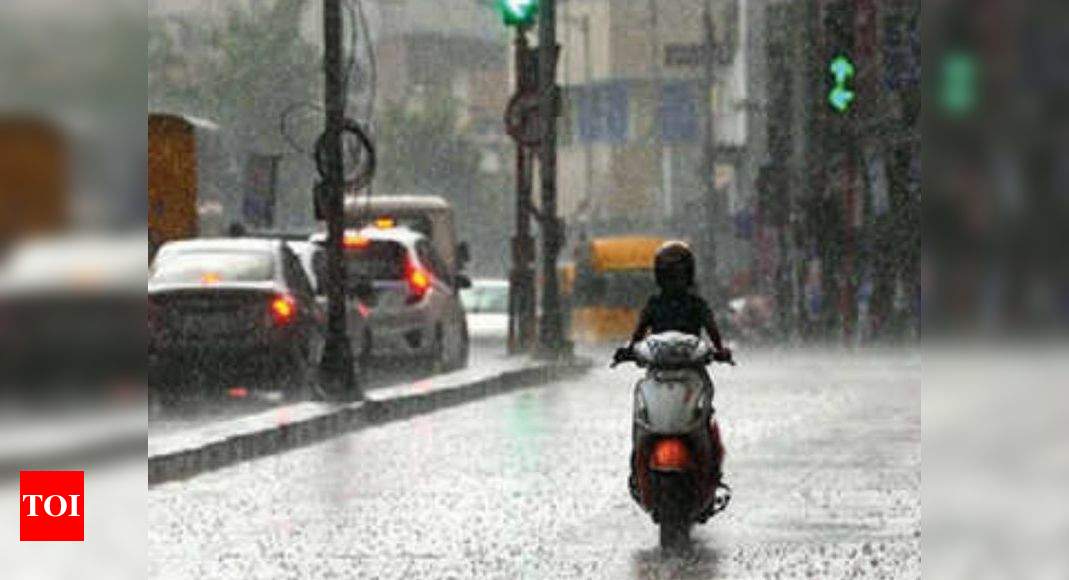 Light rain likely in Delhi over next two days: IMD | Delhi News - Times of India