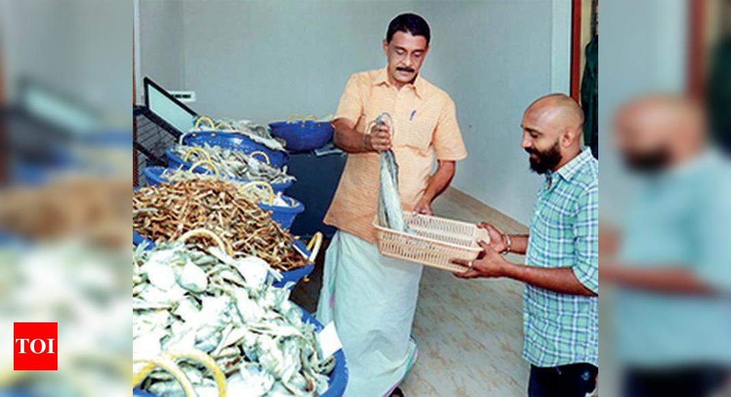 From local body governance to own ventures | Kochi News - Times of India
