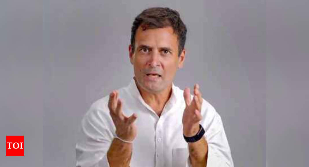  Congress pays tributes to Sardar Patel, Rahul Gandhi says need to keep his principles in mind | India News - Times of India