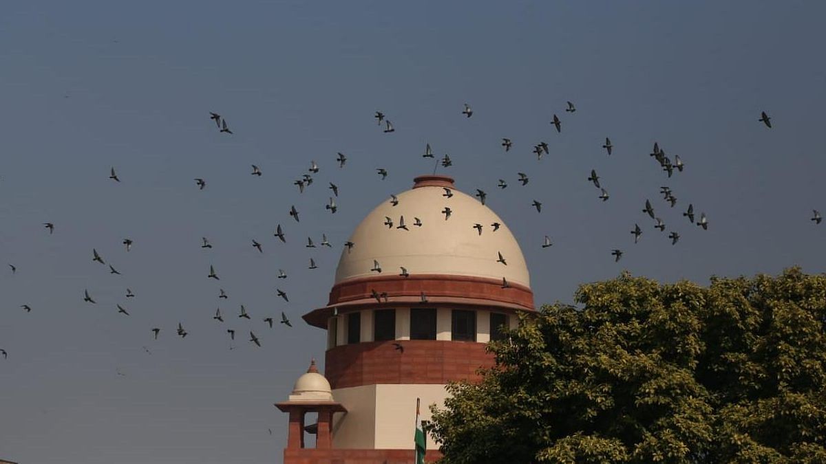 SC decision to use A4 size paper will save 2,800 trees, 1 crore litre of water annually