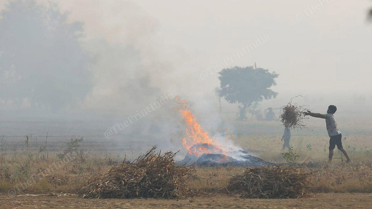 AAP wants criminal negligence cases filed against Punjab, Haryana CMs for stubble burning
