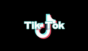 Madras high court urges Centre to ban TikTok app