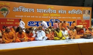Seers to hold meetings in 500 districts across country for Ram temple