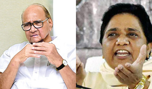 Shiv Sena says Sharad Pawar, Mayawati opting out of Lok Sabha election indicates NDA win