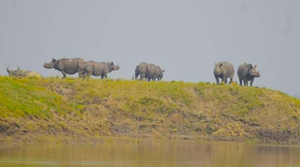 Assam and Bihar floods: 166 dead, over 1 crore affected; 141 animals die in Kaziranga National Park