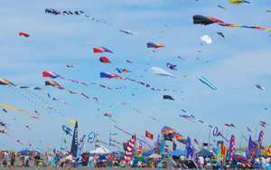 Fake news of kite-flying ban in Hyderabad during Makarsankranti spread on social media 