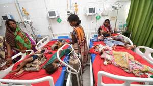 Bihar AES strain is far deadlier than Japanese encephalitis, experts say