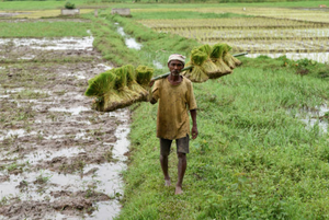 RTI reveals money credited to many farmers’ accounts under PM Kisan Yojna reversed quickly